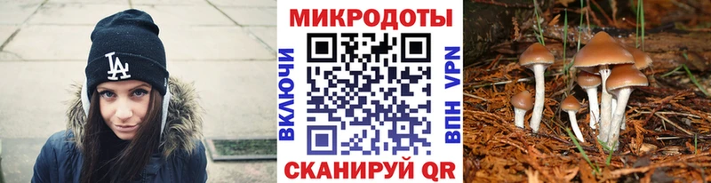 Псилоцибиновые грибы MAGIC MUSHROOMS  наркота  Чекалин 
